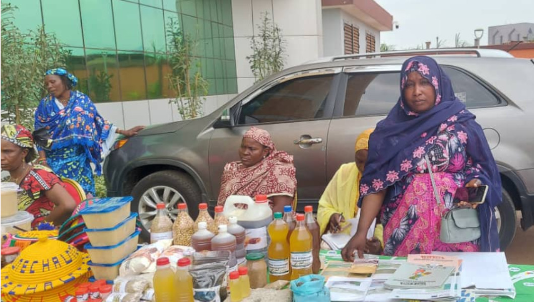 Entretien avec Ramatou Hamadou, secrétaire générale de la Coopérative des femmes productrices de moringa de Rey-Bouba | Crédit photo : ME 
