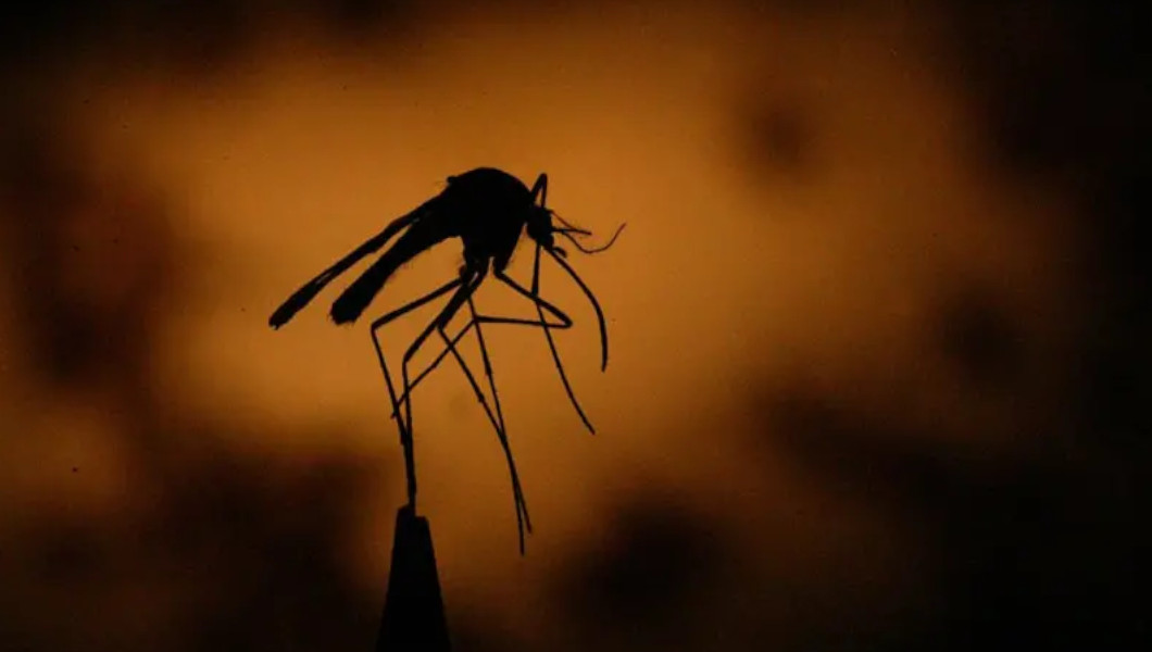 Sida, tuberculose et paludisme : le Fonds mondial réduit son financement en raison de la mauvaise gestion  | Crédit photo : GETTY IMAGES